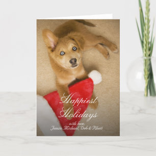 Cartão De Festividades Puppy with Santa Claus hat