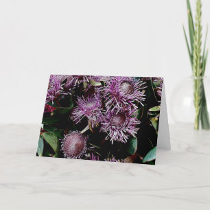 Cartão De Festividades purple native flowers