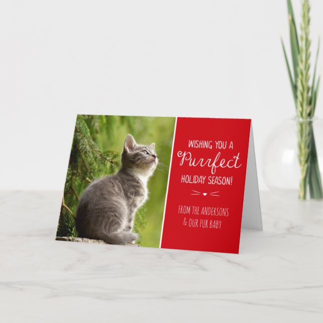 Cartão De Festividades Purrfect Cat Theme Holiday Photo Card (Frente)