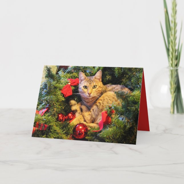 Cartão De Festividades Purrfect Holiday Cat Christmas Greeting Card (Frente)