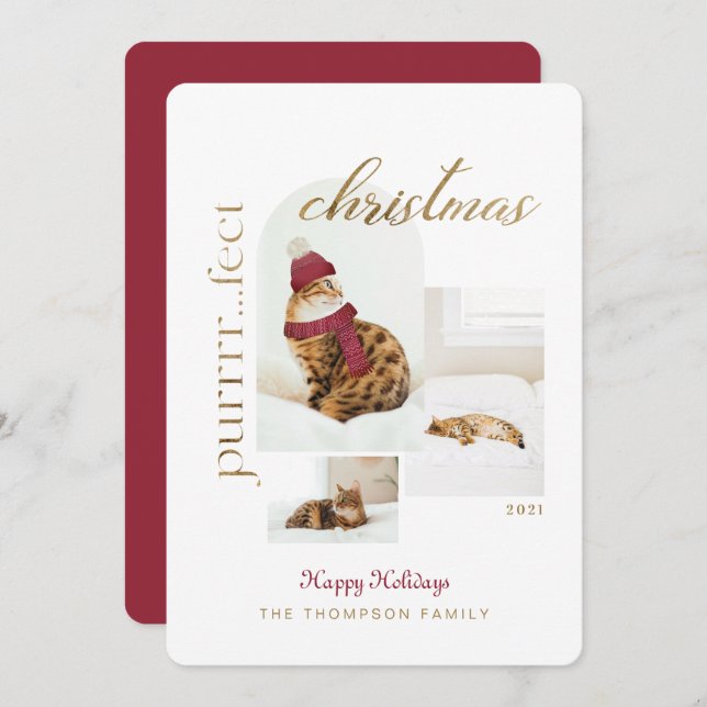 Cartão De Festividades Purrr... Festa de Natal e Cozy Cat Três Foto (Frente/Verso)