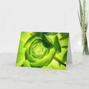 Cartão De Festividades Quadrado verde do Succulent pelo Amy Vangsgard