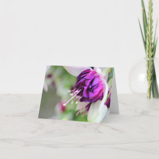 Cartão De Festividades Quase Roxo Fushia II (Frente)