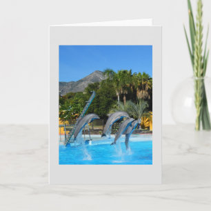 Cartão De Festividades Quatro golfinhos saltando