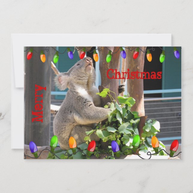 Cartão De Festividades Que Suas Luzes Brilhem Brilhantes. Koala Christmas (Frente)
