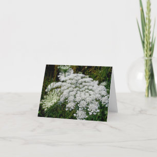 Cartão De Festividades Queen Anne's Lace Note Card