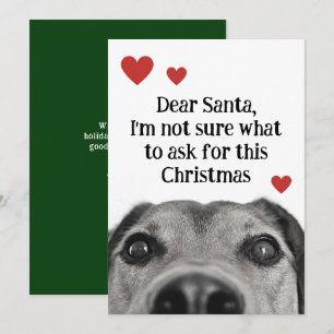 Cartão De Festividades Querido Papai Noel Cachorrinho Natal Verde Engraça
