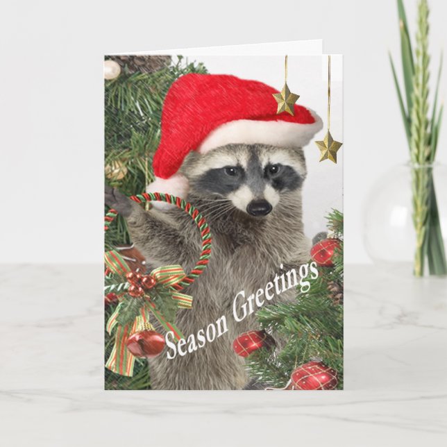 Cartão De Festividades Raccoon Christma A Time For Fun Cards (Frente)