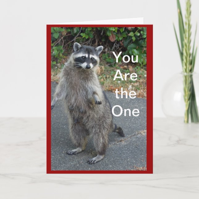 Cartão De Festividades Raccoon Valentine Card (Frente)