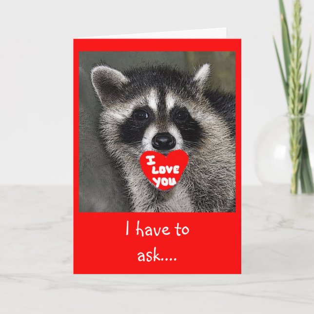 Cartão De Festividades Raccoon Valentines Day Card (Frente)