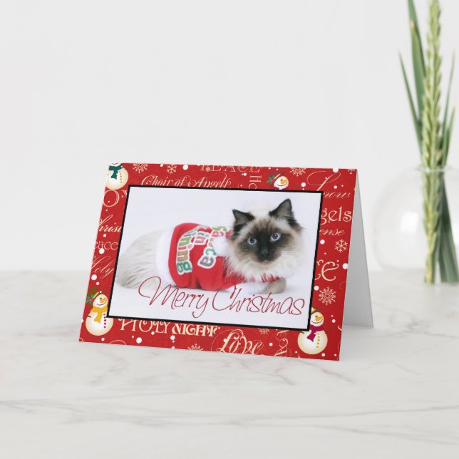 Cartão De Festividades Ragdoll Christmas Card (Frente)