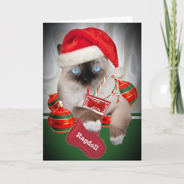 Cartão De Festividades Ragdoll Christmas Cards (Frente)