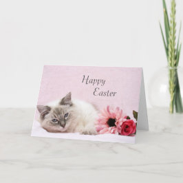 Cartão De Festividades Ragdoll Easter Card