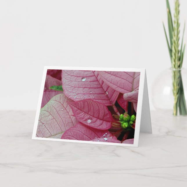 Cartão De Festividades Rain Drops (Frente)