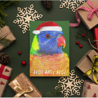 Rainbow Lorikeet Vestindo Santa Hat Aussie