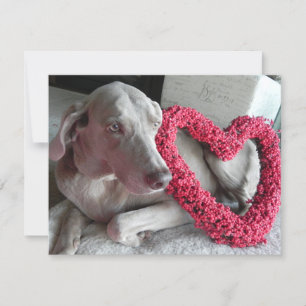 Cartão De Festividades Rain's Love - Dog Namorados - - Flat Card