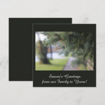 Ramos de Sempre-Verde Personalizados Elegantes Cor