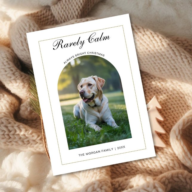 Cartão De Festividades Rarely Christmas Cute dog Simple Photo card (Criador carregado)