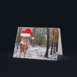 Cartão De Festividades Real Deer Sporting Santa Hat Christmas Scene Card<br><div class="desc">Real Deer Sporting Santa Hat Christmas Scene Card</div>