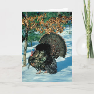 Cartão De Festividades Real Turkey Christmas Thanksgiving Winter Xmas