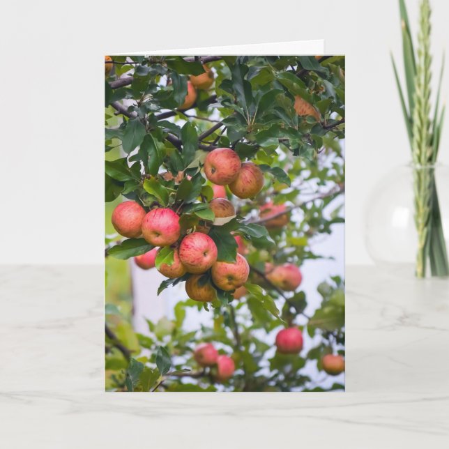 Cartão De Festividades Receita de Molho de Maçã (Frente)