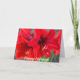 Cartão De Festividades Red amaryllis photograph on holiday greeting card