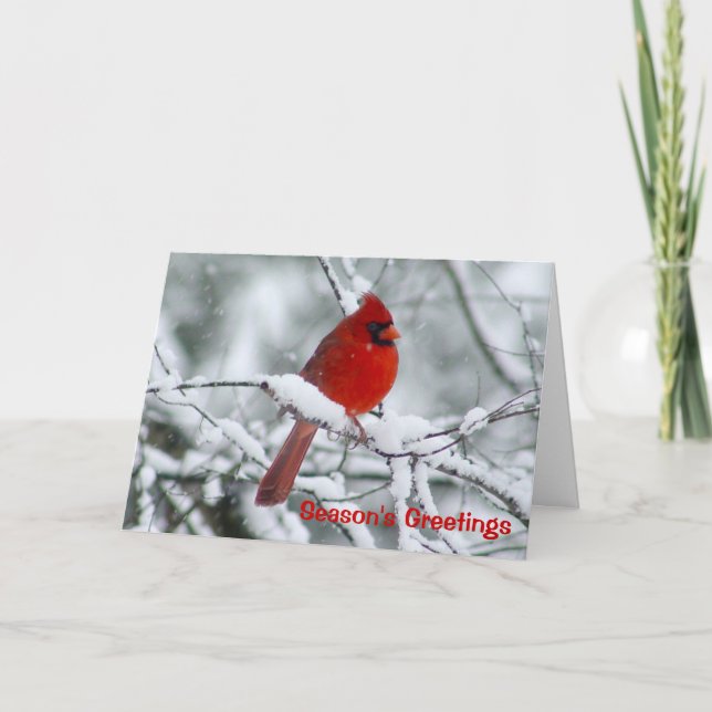 Cartão De Festividades Red Cardinal Christmas Greeting Card (Frente)
