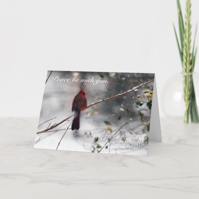 Cartão De Festividades Red Cardinal in snow PHOTO Christmas Card (Frente)