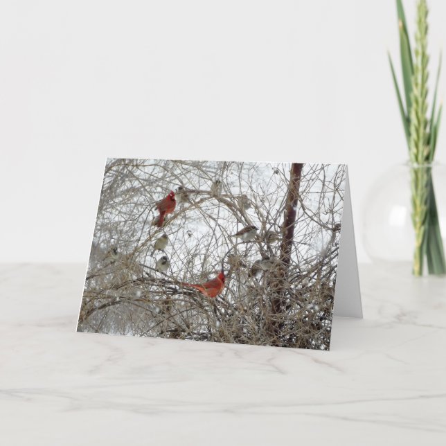 Cartão De Festividades Red Cardinal Wreath (Frente)