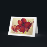 Cartão De Festividades Red Christmas Amaryllis Painting White Border Card<br><div class="desc">PRLimages is a division of Paintings by Rachel Lowry.</div>