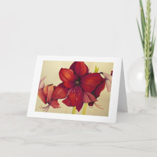 Cartão De Festividades Red Christmas Amaryllis Painting White Border Card