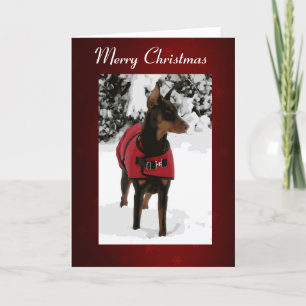 Cartão De Festividades Red Doberman in Snow Christmas Card (v9-2 Ribbon)