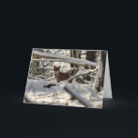 Cartão De Festividades Red fox in winter wood Christmas card<br><div class="desc">Red fox in snowy wood</div>