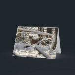 Cartão De Festividades Red fox in winter wood Christmas card<br><div class="desc">Red fox in snowy wood</div>