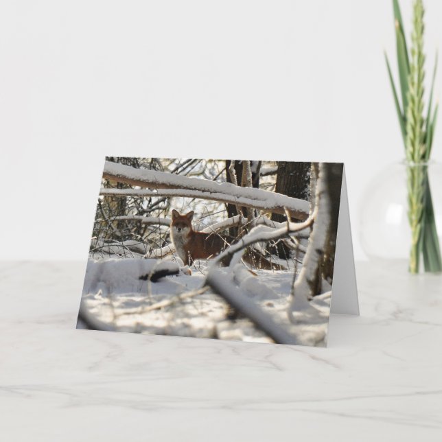 Cartão De Festividades Red fox in winter wood Christmas card (Frente)