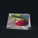 Cartão De Festividades Red Ginger card<br><div class="desc">Warm image of red ginger in a gentle wave of Lanikai Beach,  Oahu,  Hawaii.</div>
