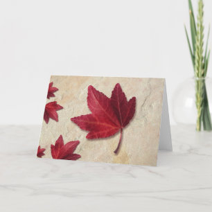 Cartão De Festividades Red Maple Leaf