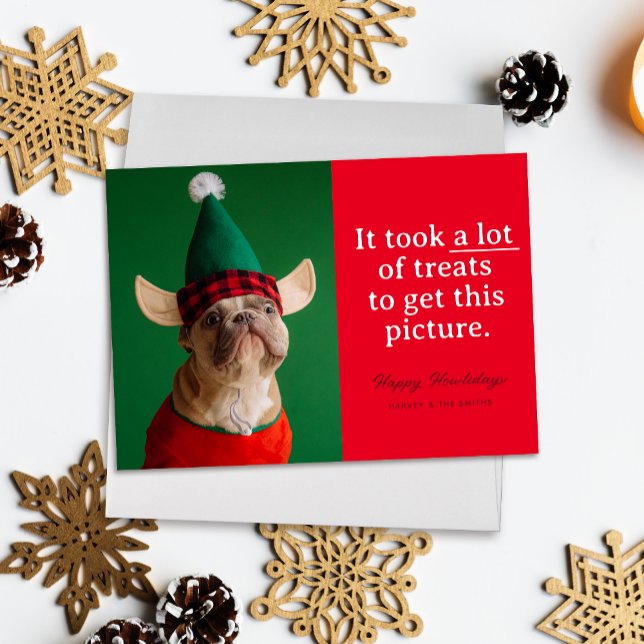 Cartão De Festividades Red MUTS Happy Howlidays Engraçado Pet ("It took a lot of treats to get this picture" funny holiday pet photo card, white text on red)