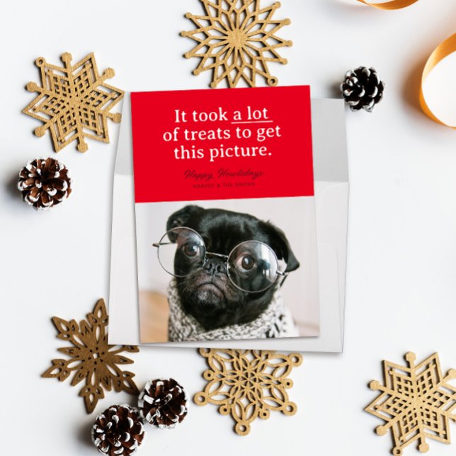 Cartão De Festividades Red MUTS Happy Howlidays Engraçado Pet (Funny pet photo holiday card reads "it took a lot of treats to get this picture" on a block of red)