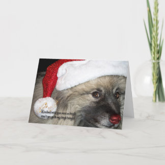 Cartão De Festividades Red Nose Keeshond Christmas card