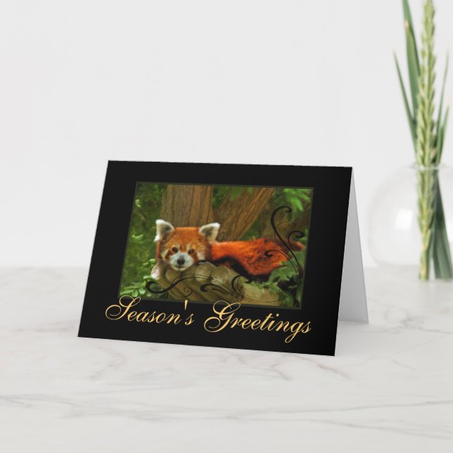 Cartão De Festividades Red Panda Nature Seasons Greetings Holiday Card (Frente)