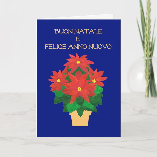 Cartão De Festividades Red Poinsettias on Blue Italian Language Greeting (Frente)