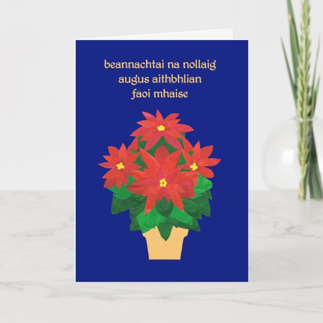 Cartão De Festividades Red Poinsettias sobre a Saudação da Língua Azul Ir (Frente)