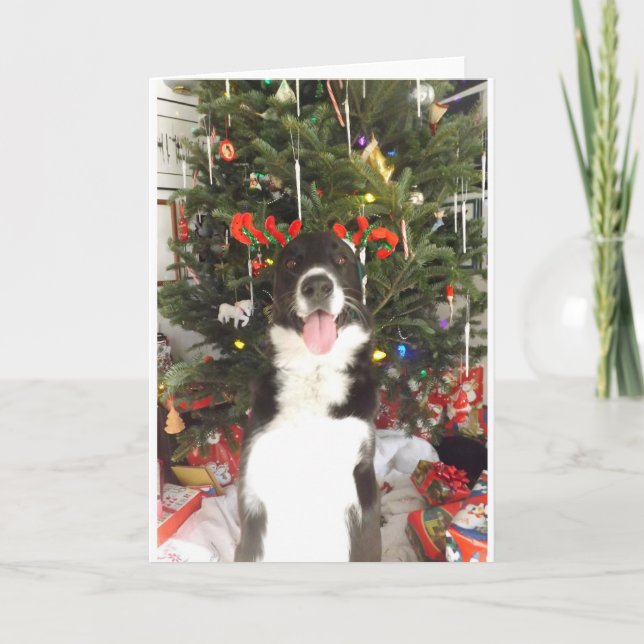 Cartão De Festividades Reindeer Antlers Dog Christmas Card (Frente)