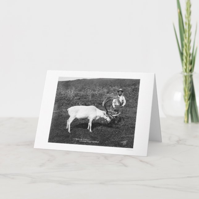 Cartão De Festividades Reindeer & Eskimo Alaska 1920 (Frente)