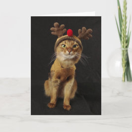 Cartão De Festividades Reindeer Games Somali Cat Holiday