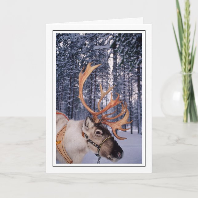 Cartão De Festividades Reindeer para Cima - Fechar (Frente)