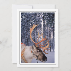Cartão De Festividades Reindeer para Cima-Fechar