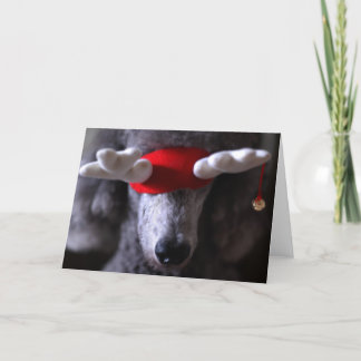 Cartão De Festividades Reindoodle Holiday Card I