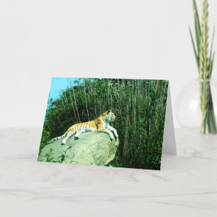 Cartão De Festividades Relaxamento do Tigre